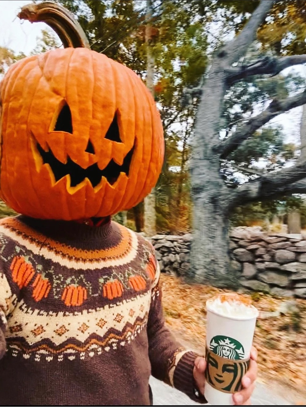 KJP Cozy Pumpkin Sweater
